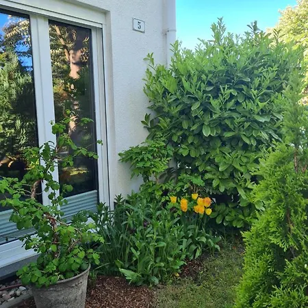 Haus Annelie 3 Eg/og Dranske